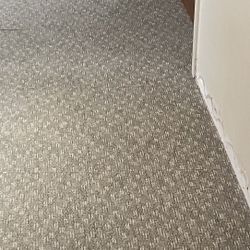 Clean HIGH TRAFFIC carpet Tiles!