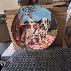 You Are Buying A Collection Plate  Said On Back Here's a Good Spot