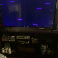 55 Inch Flat Screen TV