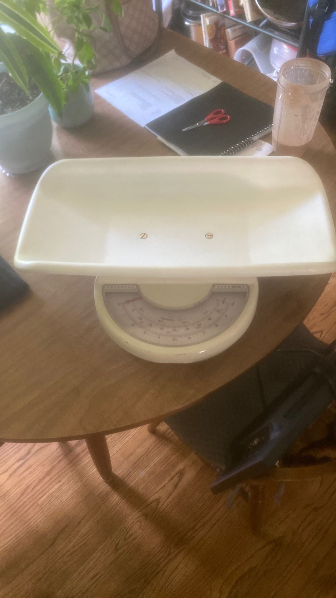 Baby Scale Nursing