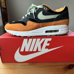 Nike Air Max 1 Ugly Duckling Size 10.5