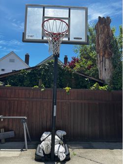 Basketball Hoop 50”