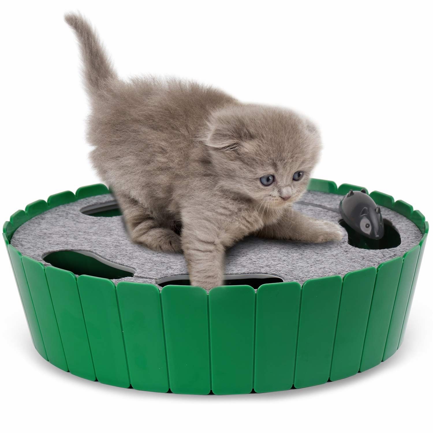 Cat toy