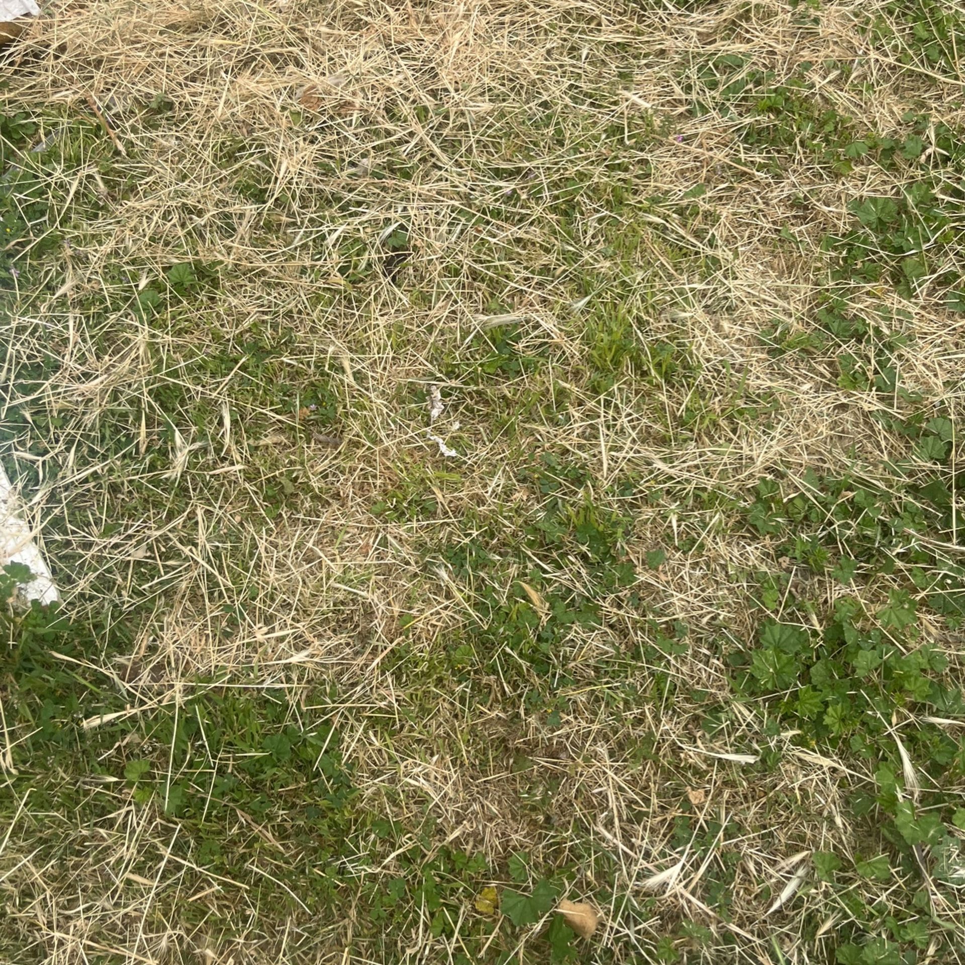 Truck Bed Cover for Sale in Bakersfield, CA OfferUp