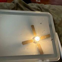 Makeup Mirror 