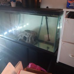 55 Gallon Tall Aquarium