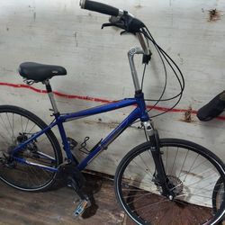 Hybrid Bike