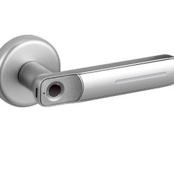 Fingerprint Smart Door Lock Biometric Keyless Door Lock With Handle with 2 keys