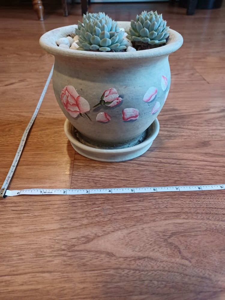 Gray With Roses Theme Decorative Planter Pot With 3 Succulents
