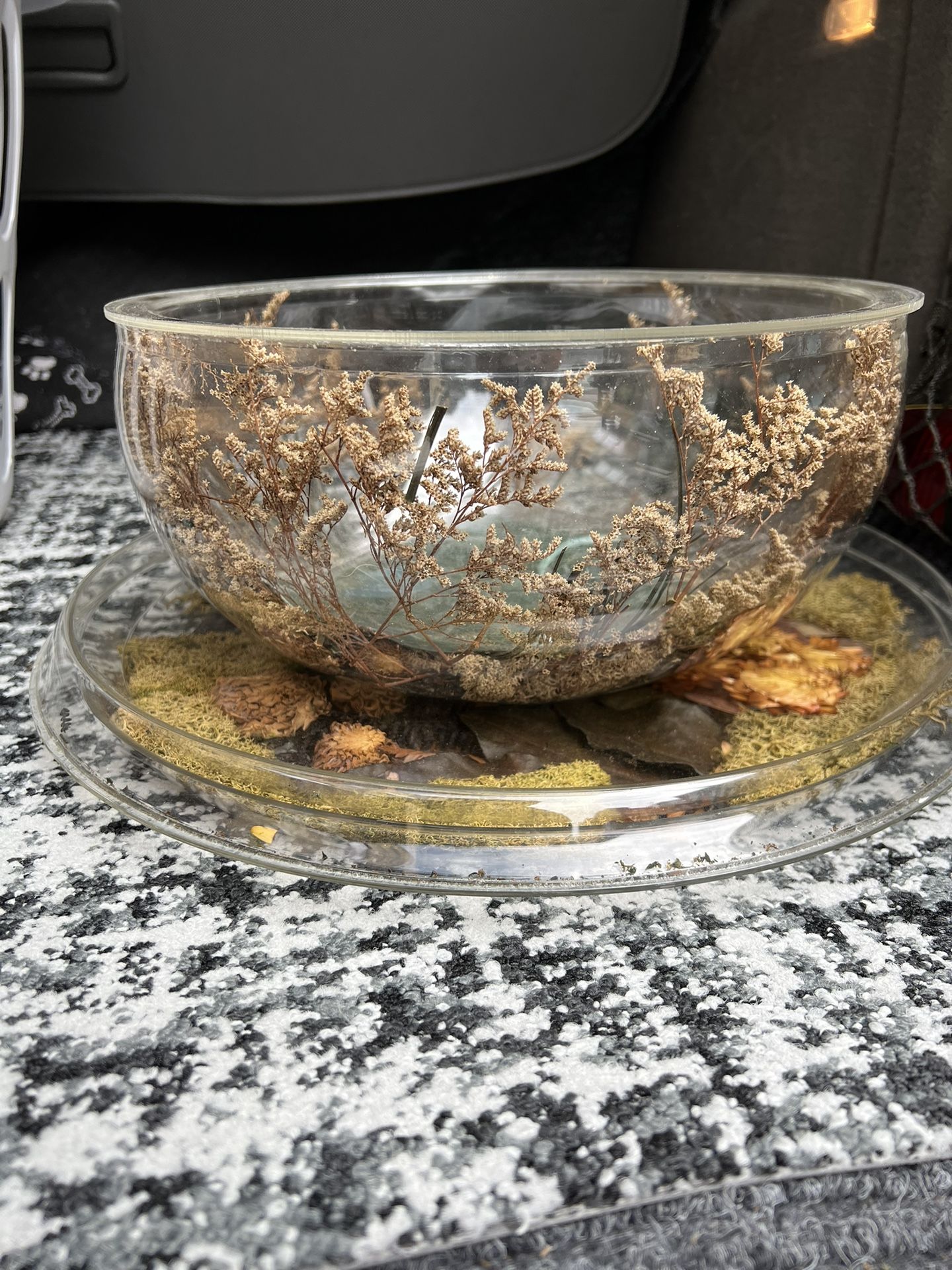 1/2 Price!! VINTAGE ALPAC FRANCE CREATIONS SALAD BOWL & Tray 2 For The Price Of 1 - FIBERGLASS POLY-RESIN W Real Preseved Plants Inside