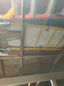 Scaffold