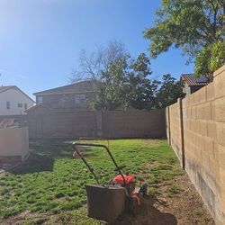Yard Clean Up, Free Stimate