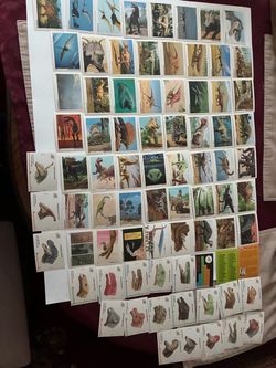 DINOCARDS