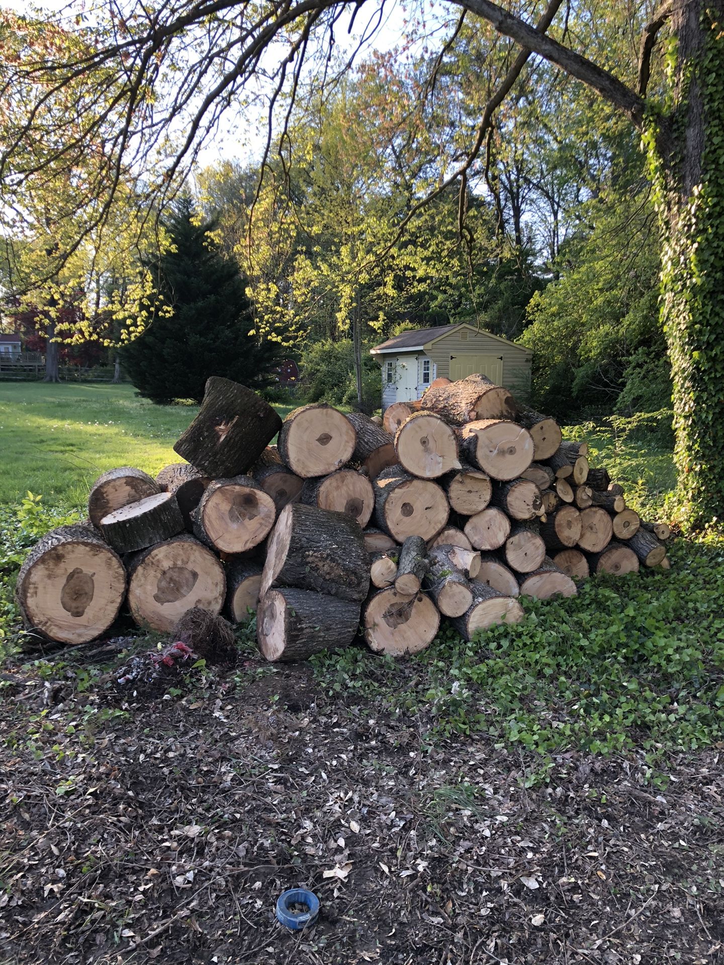 Free firewood, must pick up and haul your own