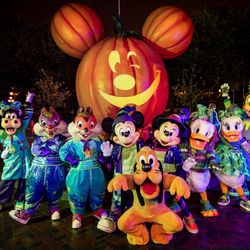 Disneyland Tickets 