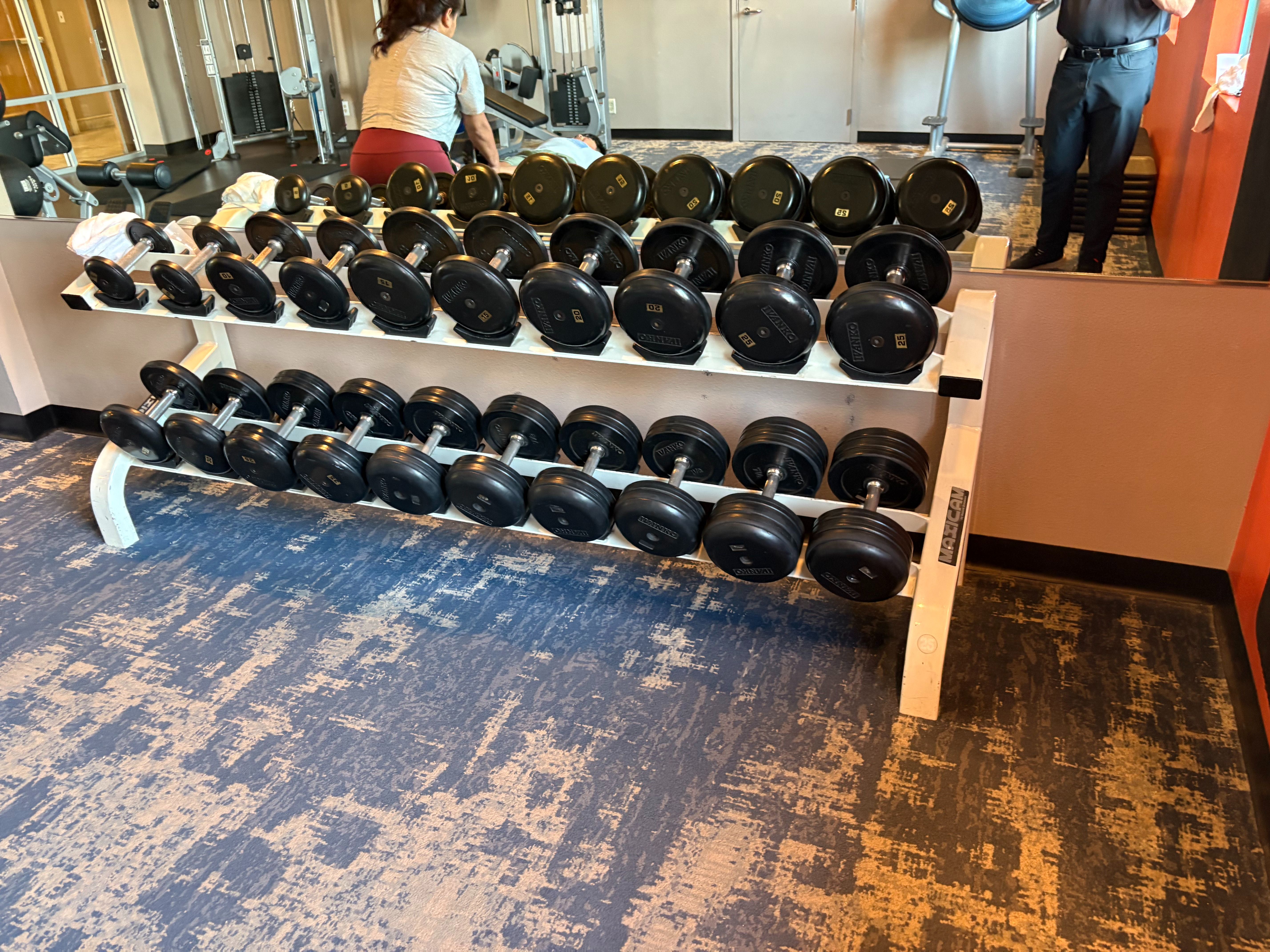 10 Pair Dumbbell Rack With Ivanko Rubber 5-50lbs A SET
