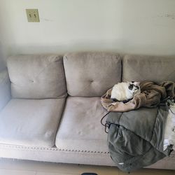 Free couch. Has some wear