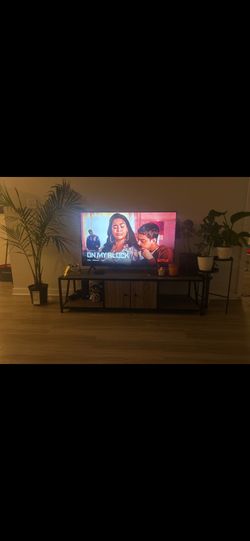 TV / TV Stand