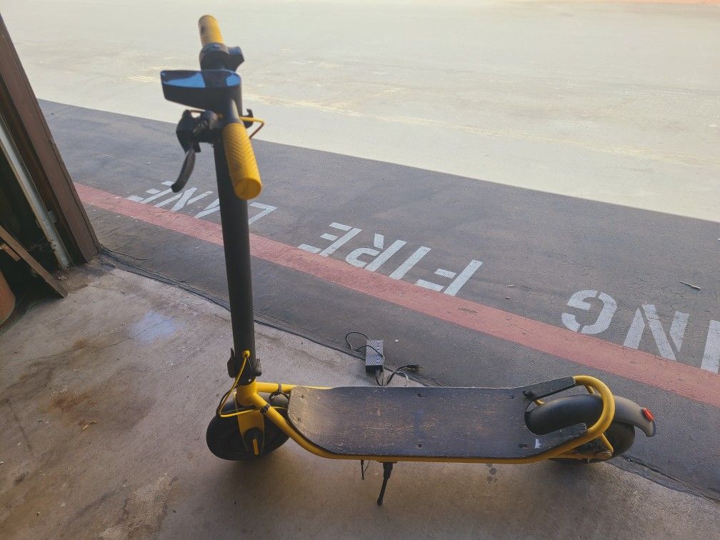 Scooter Electric