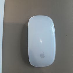 2nd Gen Magic Mouse 