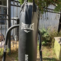 Punching Bag 