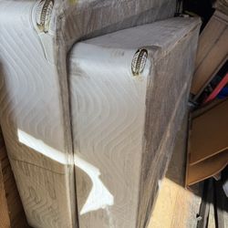 2 twin solid box springs