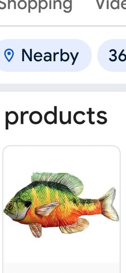 Bluegill & catfish stuft animal. Pond. Aquarium. Tank