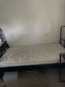 Twin Mattress + Frame
