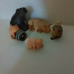 Cute Pigs