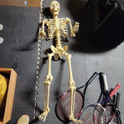 Two 5 Foot Halloween Skeletons 