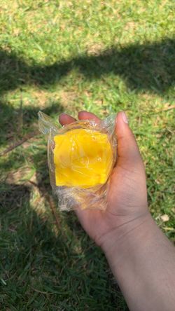 Small cheese SQUISHY