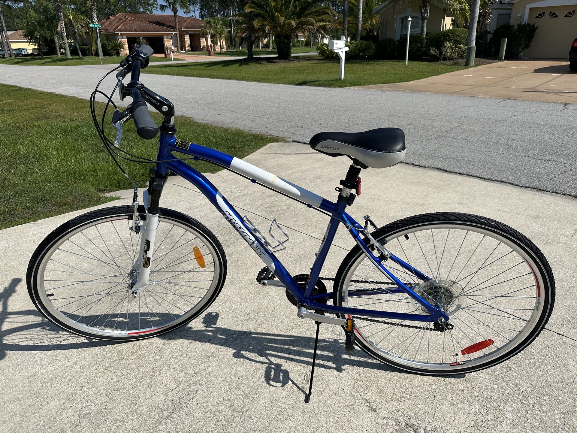 Blue Infinity Unisex Bicycle