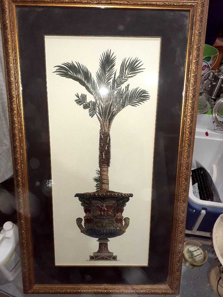 TWO Great condition framed palm tree pictures