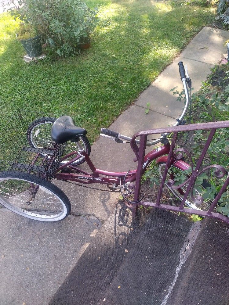 Schwinn Meridian Trike Tricycle 3 Wheeler Three Wheel Bike