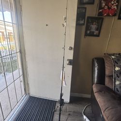 Fishing Rod