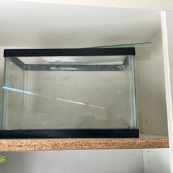 Fish Tank 
