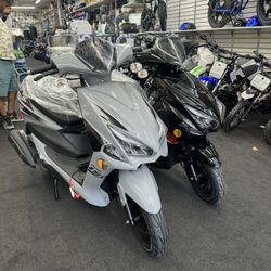 Brand New Focus 150cc Gas Scooter 