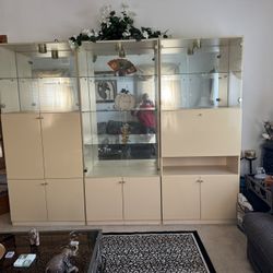 Living Room Wall Unit 