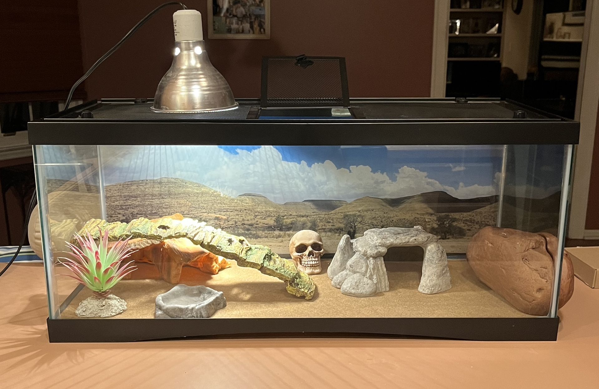 Reptile / Lizard Terrarium, Cage, Habitat & Decor