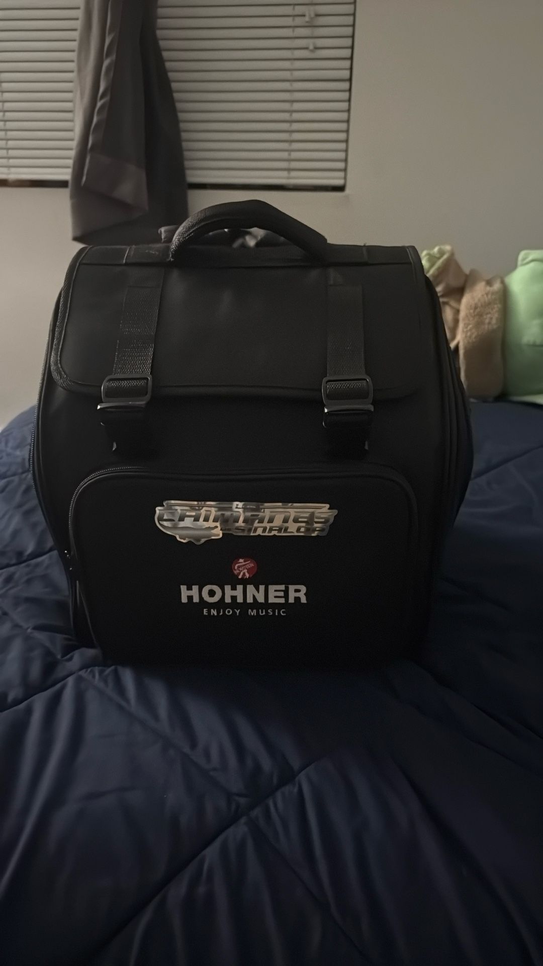 Accordion Is In Fbbeb For 700$