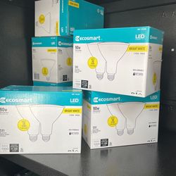 EcoSmart 90-Watt Equivalent PAR38 Non-Dimmable Flood LED Light Bulb Bright White (2-Pack)