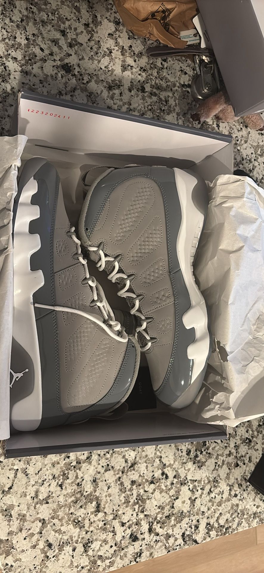 Jordan 9 Retro Cool Grey