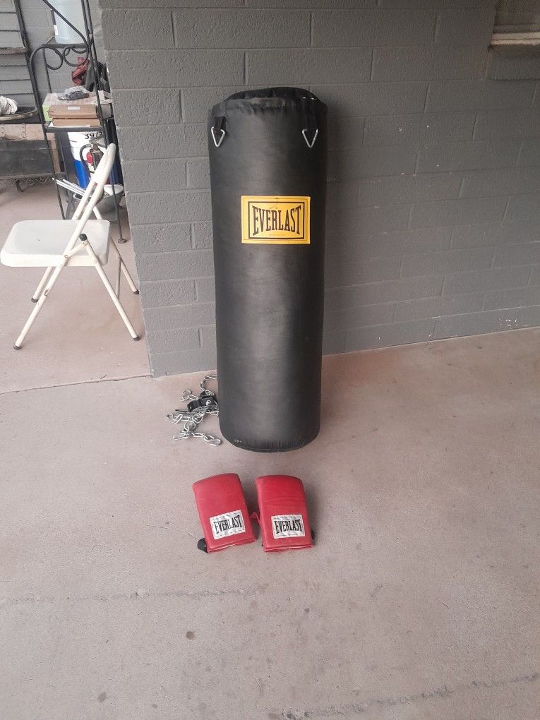 Punching Bag And Gloves