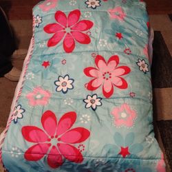 Little Girls Sleeping Bag $10