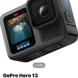 Go Pro