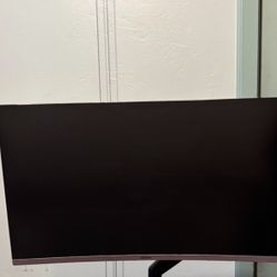 Computer Monitor