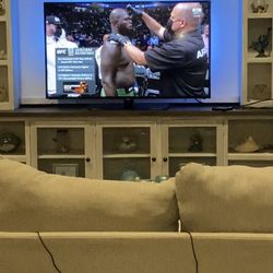 Samsung 60 Inch Flat Screen TV