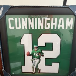 Philadelphia Eagles Randall Cunningham Framed Picture