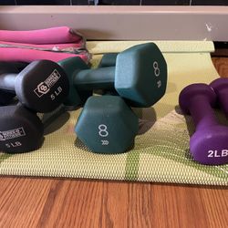 Hand Weights Bundle 2, 5, 8 Lbs 