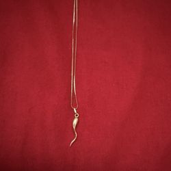 14 Kt Gold Italian Horn Necklace